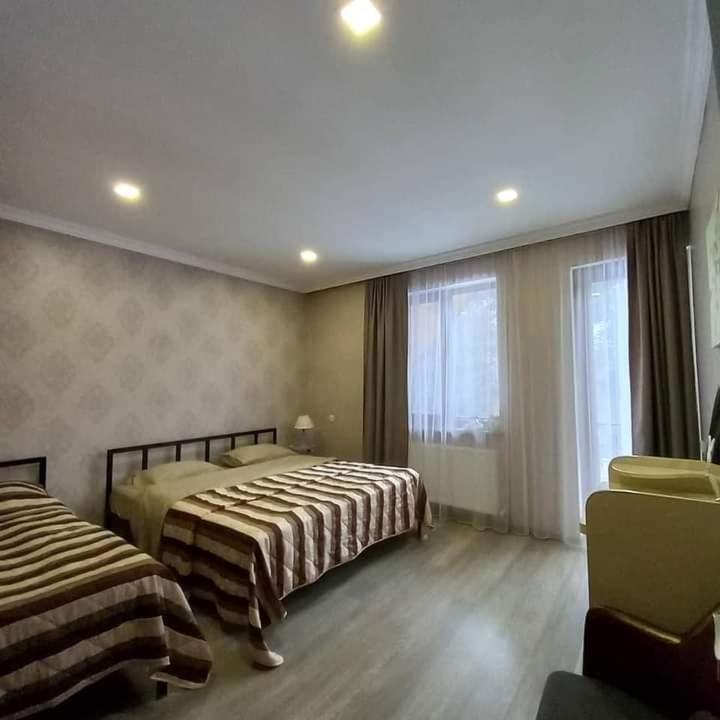 Hotel Likani Vip Hall Borjomi Εξωτερικό φωτογραφία